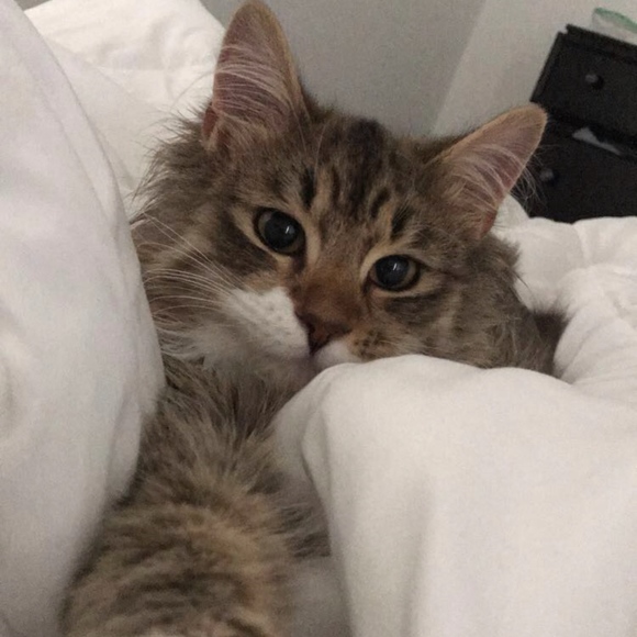 Meet your Posher, Casey - Picture 3 of 4